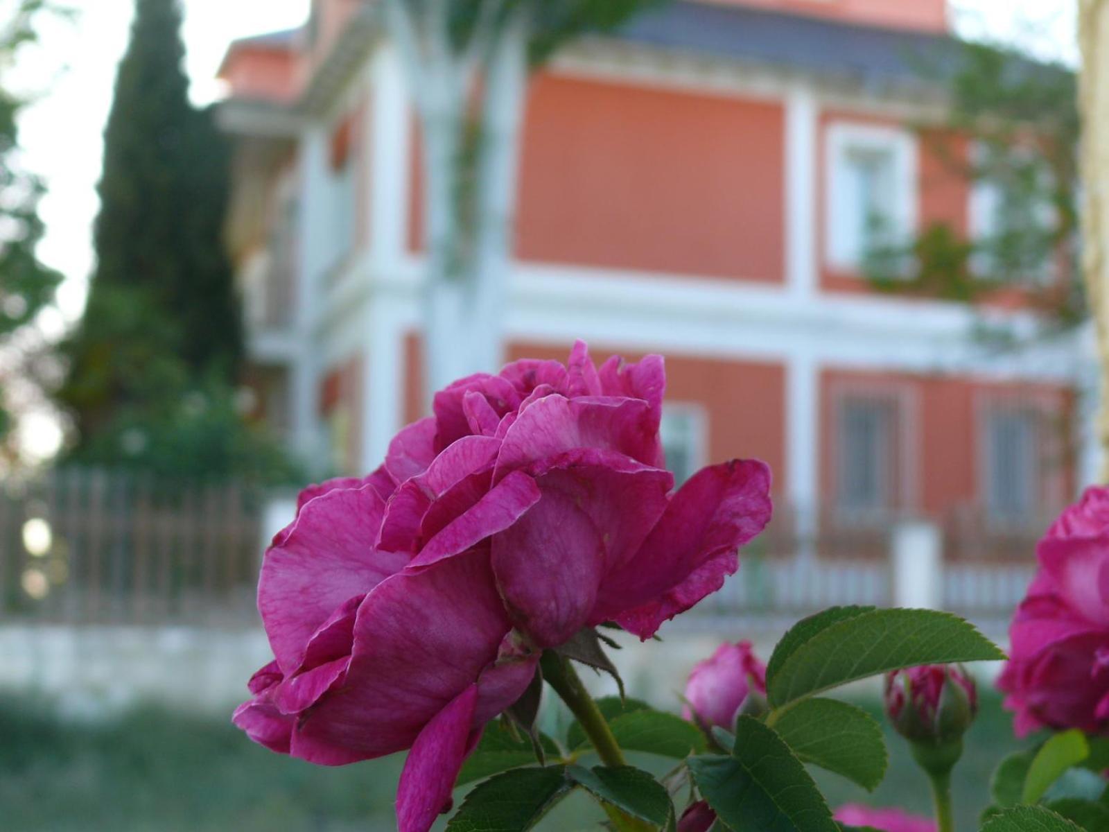 הוילה Quintanas de Gormaz La Casa Grande De Gormaz מראה חיצוני תמונה