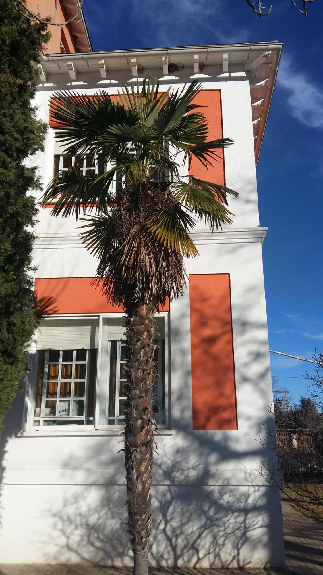 הוילה Quintanas de Gormaz La Casa Grande De Gormaz מראה חיצוני תמונה